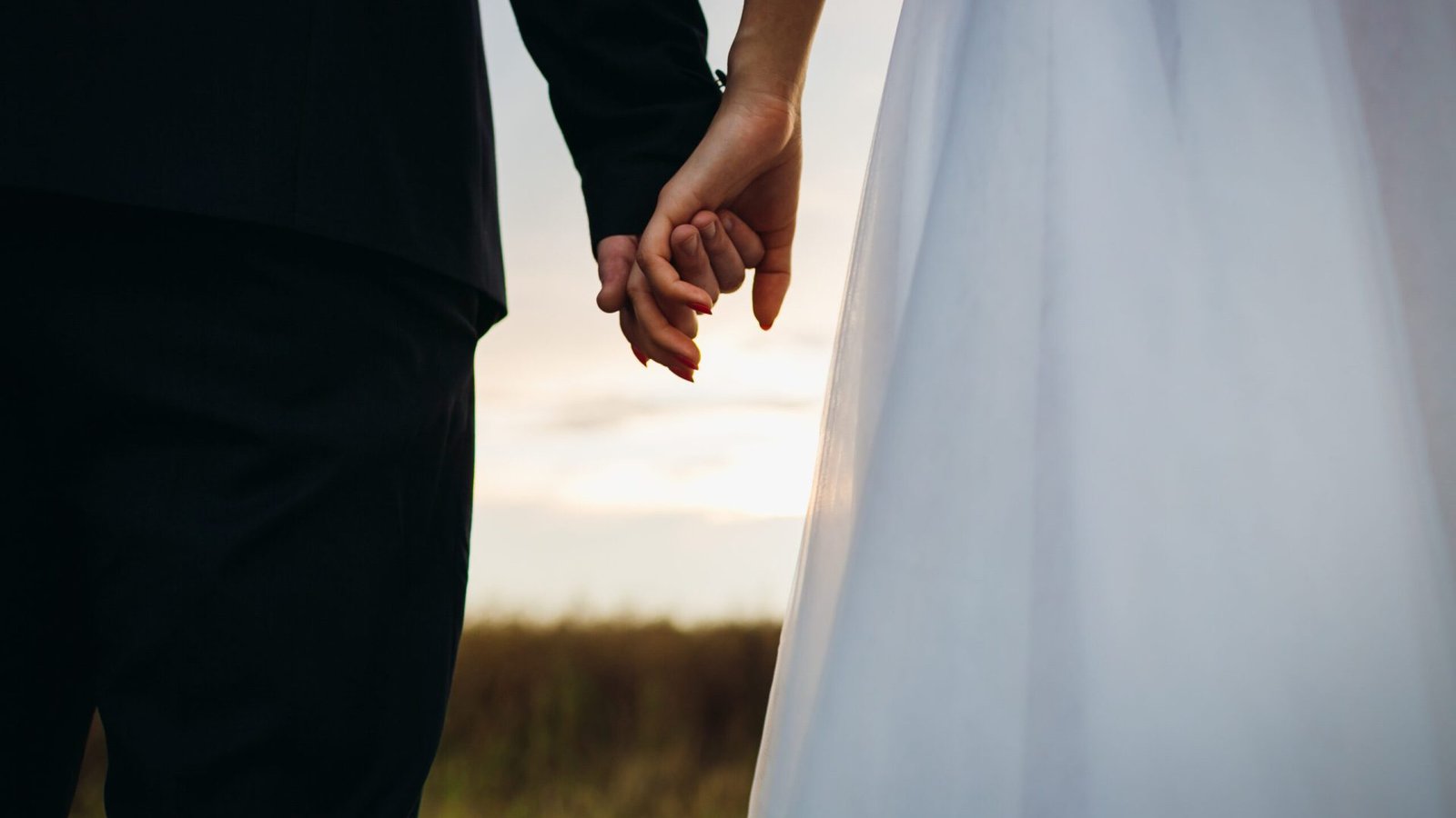 Bride and groom hold each other hands standing on the field